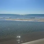 Endless Summer *