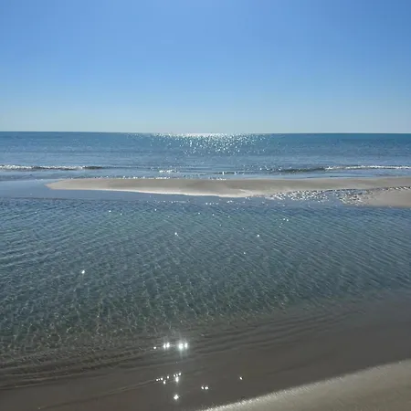 Endless Summer *