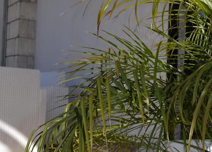 Endless Summer * Scanzano Jonico